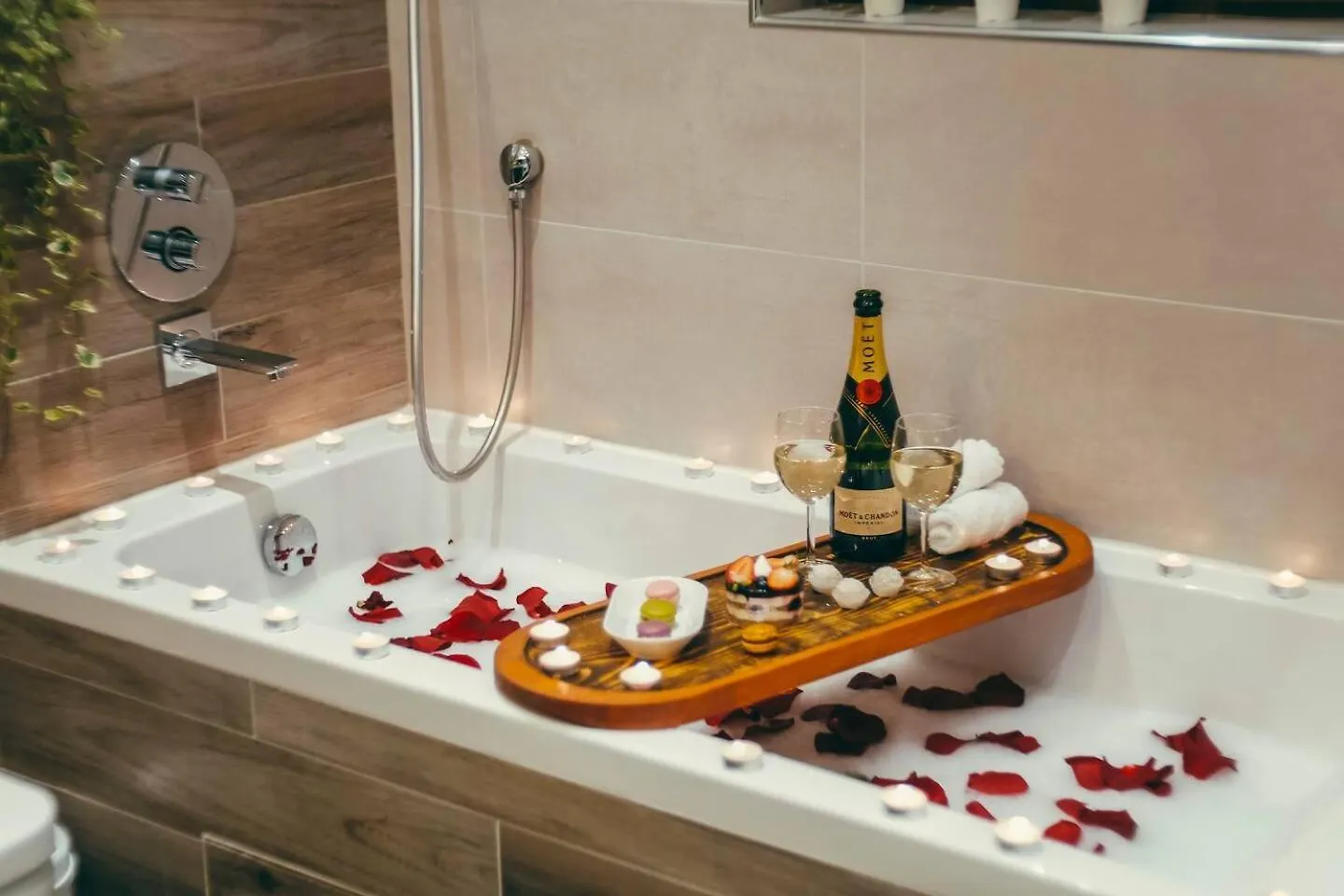 You Will This New Modern & Spacious Apt! Sofia